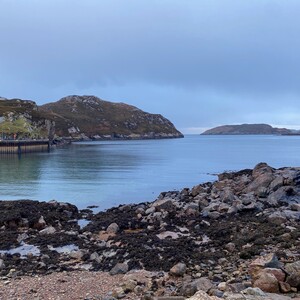 Loch Clash Seaweed.jpg