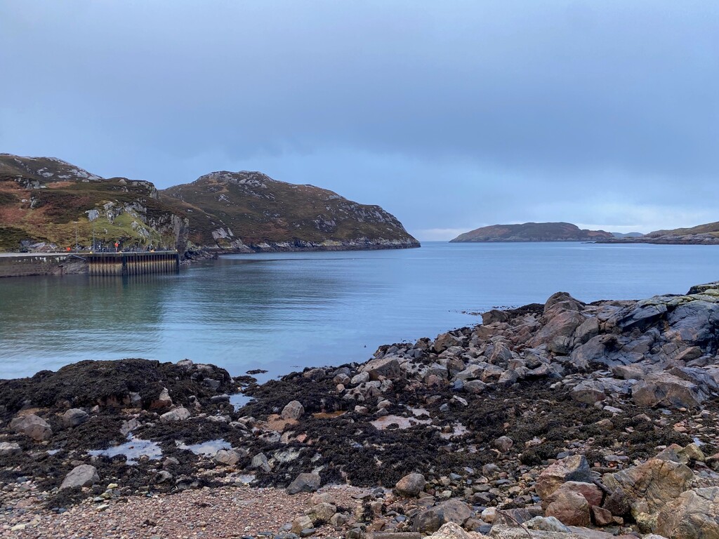 Loch Clash Seaweed.jpg