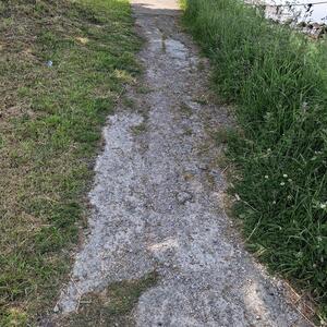 Path 1 of 3.jpeg