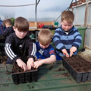 Planting locally sourced seeds - future trees for our  Community Woodland