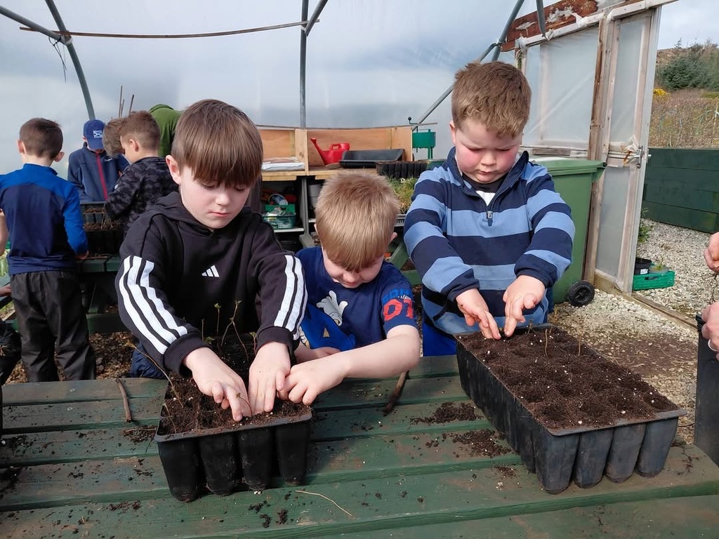 Planting locally sourced seeds - future trees for our  Community Woodland