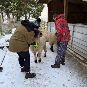 Hands-on experiential learning at Lochview Rural Training