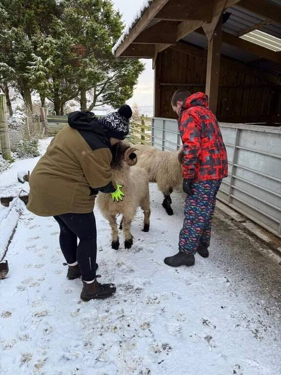 Hands-on experiential learning at Lochview Rural Training