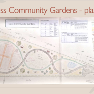 Ness Community Gardens - Drawing.png
