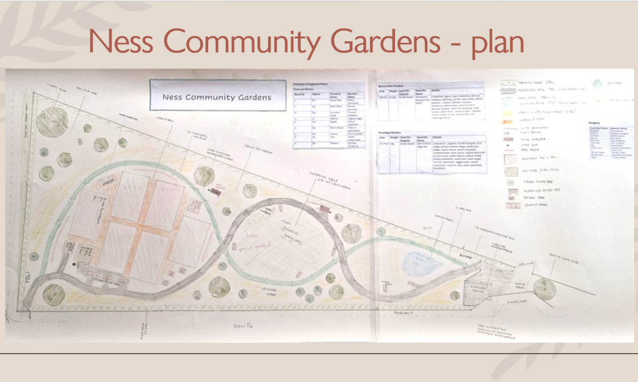 Ness Community Gardens - Drawing.png