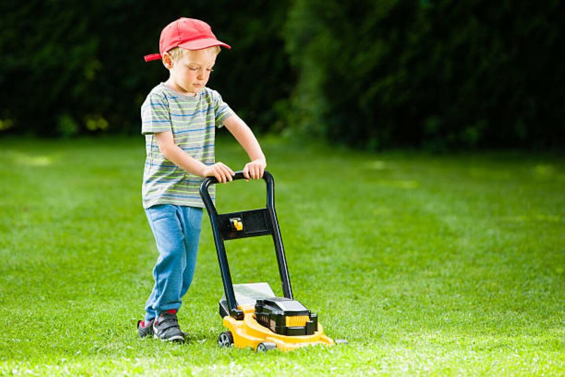 Mower