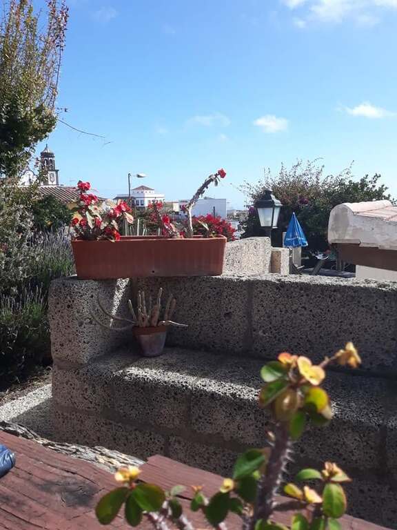 Plant pots.jpg